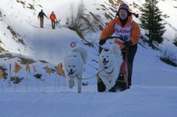 2007_Spluegen