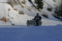 2007_Spluegen