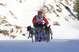 2007_Spluegen