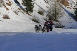 2007_Spluegen