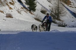 2007_Spluegen