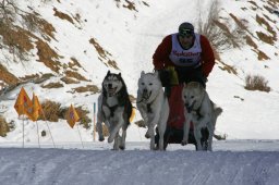 2007_Spluegen
