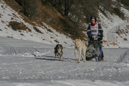 2007_Spluegen