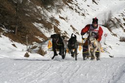 2007_Spluegen