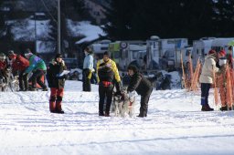 2007_Spluegen