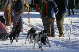 2007_Spluegen
