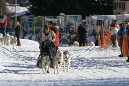 2007_Spluegen
