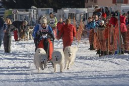 2007_Spluegen