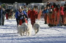2007_Spluegen
