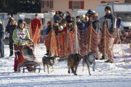 2007_Spluegen