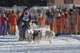 2007_Spluegen