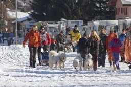 2007_Spluegen