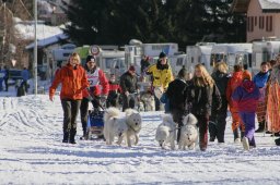2007_Spluegen