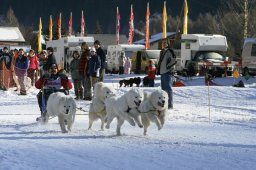 2007_Spluegen