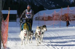 2007_Spluegen