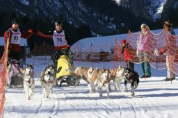 2007_Spluegen