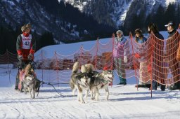 2007_Spluegen