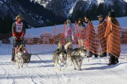 2007_Spluegen