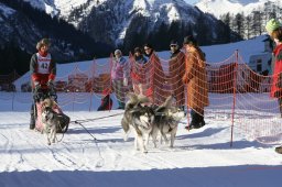 2007_Spluegen