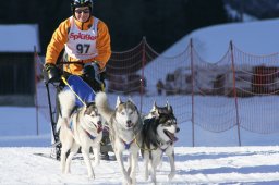 2007_Spluegen