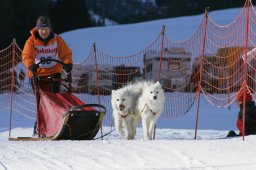 2007_Spluegen