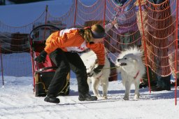 2007_Spluegen