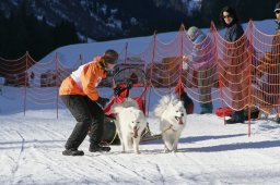 2007_Spluegen