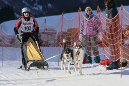 2007_Spluegen