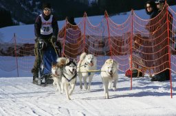 2007_Spluegen