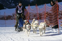 2007_Spluegen