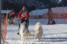 2007_Spluegen