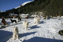 2007_Spluegen