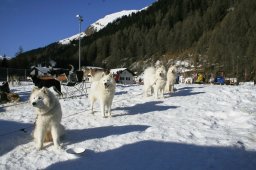 2007_Spluegen