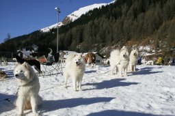 2007_Spluegen