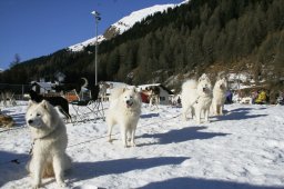 2007_Spluegen
