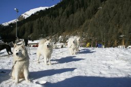 2007_Spluegen