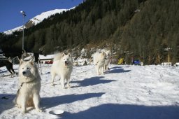 2007_Spluegen