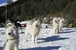 2007_Spluegen