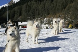 2007_Spluegen