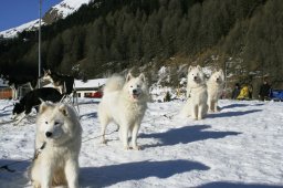 2007_Spluegen