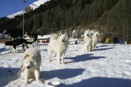 2007_Spluegen