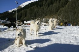 2007_Spluegen