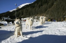 2007_Spluegen