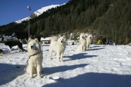 2007_Spluegen