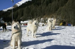 2007_Spluegen