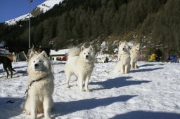 2007_Spluegen