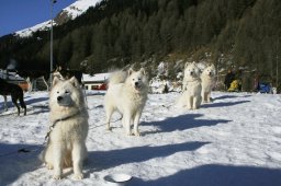 2007_Spluegen