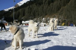 2007_Spluegen