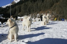 2007_Spluegen