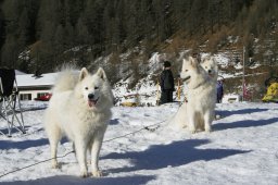 2007_Spluegen